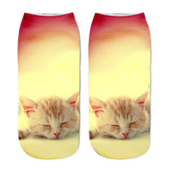 Funny 3D Cat Socks